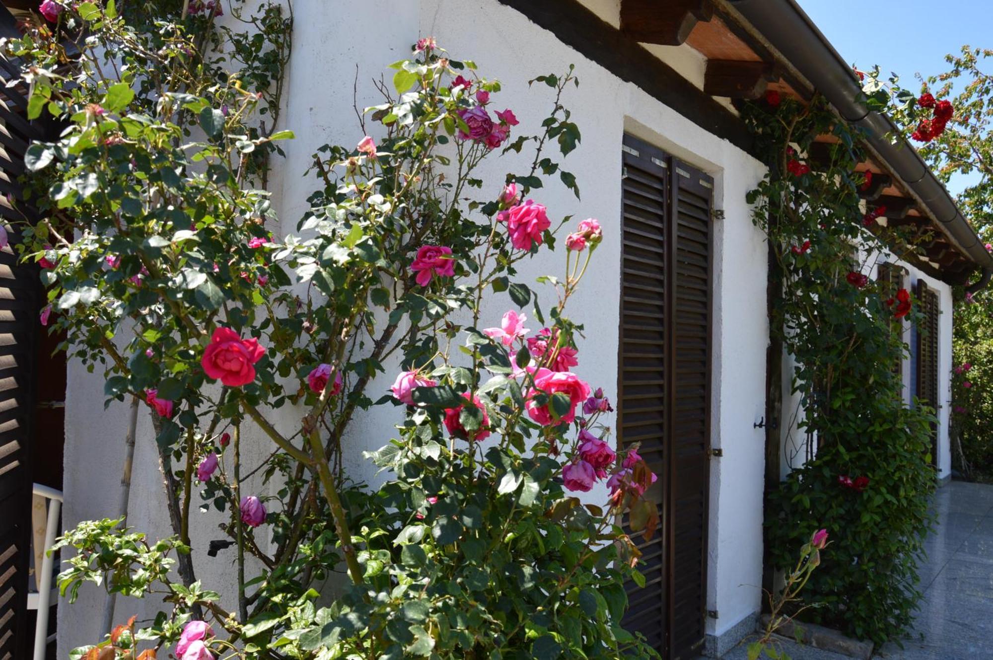 Residence Angiolina Nova Vas  Ngoại thất bức ảnh